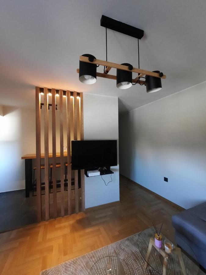 Apartment Pleasure Lux Novi Sad Dış mekan fotoğraf
